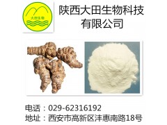 厂家现货供应三七皂甙提取物