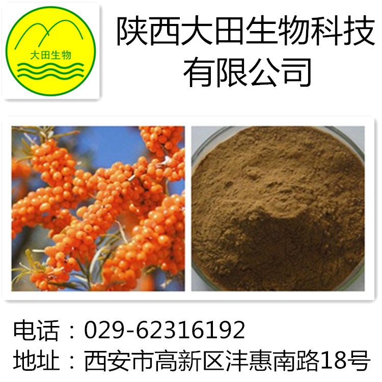 厂家现货供应沙棘黄酮提取物