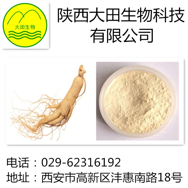厂家现货供应人参皂甙提取物