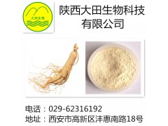 厂家现货供应人参皂甙提取物