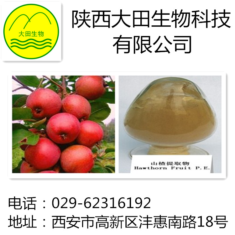 厂家现货供应山楂提取物