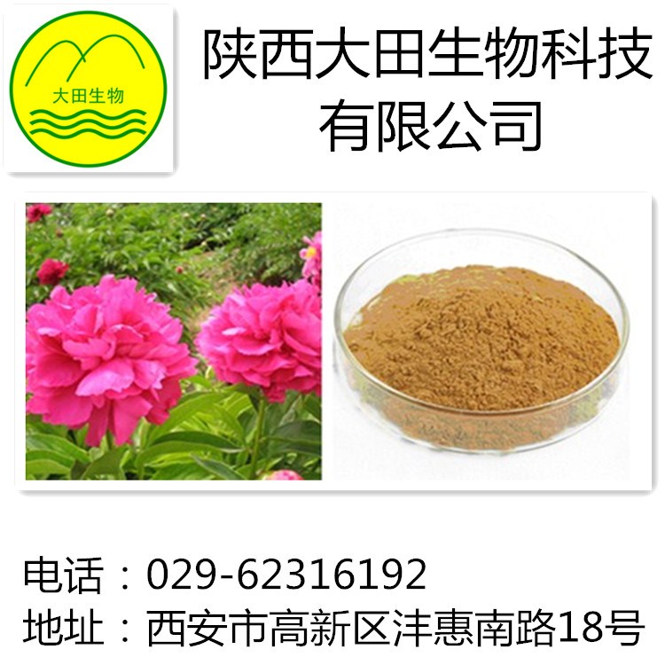 厂家现货供应芍药甙提取物