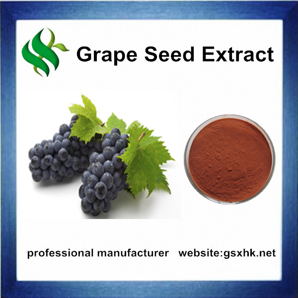 葡萄籽提取物grape seed extract