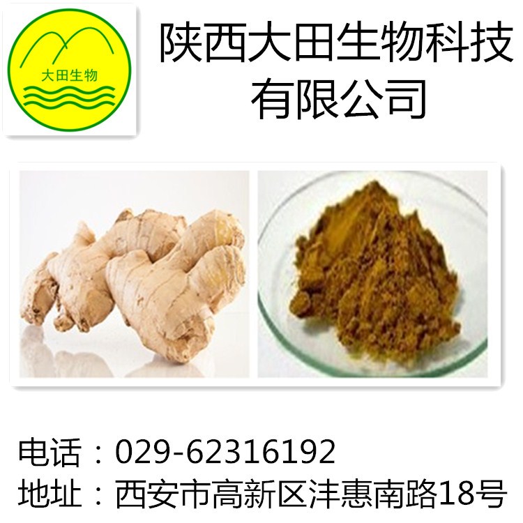 厂家现货供应生姜提取物