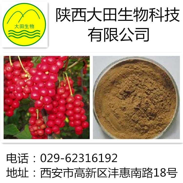 厂家现货供应五味子提取物