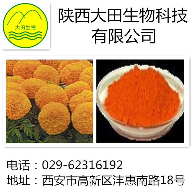 厂家现货供应叶黄素提取物