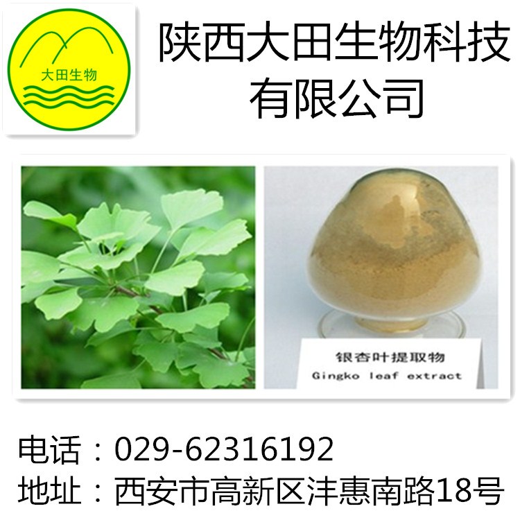 厂家现货供应银杏提取物