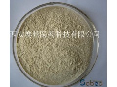 绞股蓝皂甙 绞股蓝提取物 绞股蓝98%