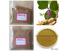 葛根黄酮40% ，葛根提取物