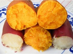 供应 红薯膳食纤维/减肥、瘦身 厂家暑期特卖！