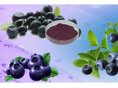 供应10% 巴西莓提取物/贫血、腹泻、出血、黄疸症状一扫光！