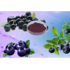 供应10% 巴西莓提取物/贫血、腹泻、出血、黄疸症状一扫光！