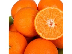 供应 橙皮甙（陈皮提取物）/ 二氢黄酮甙/520-26-3