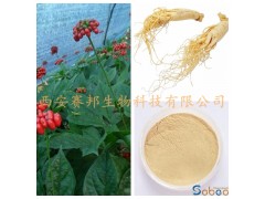 人参提取物 人参皂甙 人参总皂甙80%