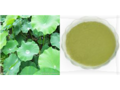 荷叶粉、速溶粉