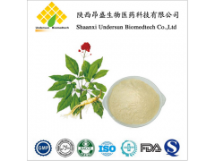 厂家供应 人参 人参茎叶提取物 皂甙80% 皂苷