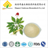 厂家供应 人参 人参茎叶提取物 皂甙80% 皂苷