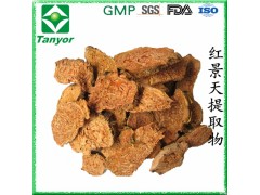 红景天提取物   络塞维