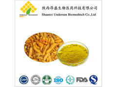 厂家供高质量低价格 姜黄素 姜黄提取物 GMP工厂