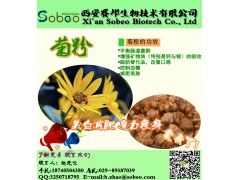 菊粉 美肤 魔力瘦身 排宿便口气清新降脂纯天然植物提取