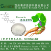 葛根素 葛根提取物