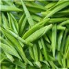 绿茶提取物、茶多酚