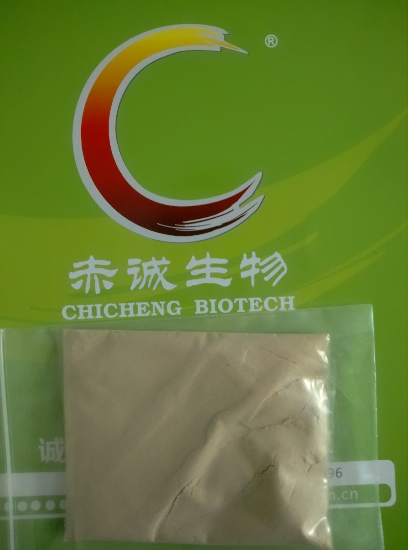 工业级单宁酸81%全国最大生产商专业生产
