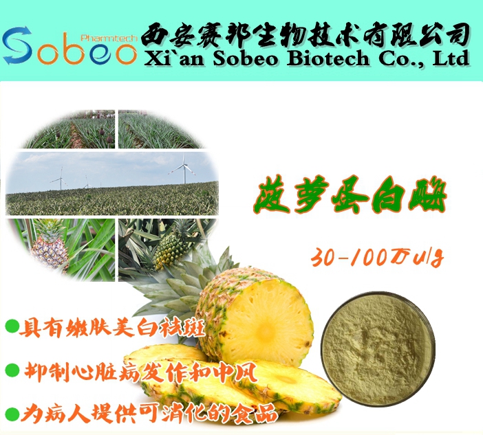 菠萝蛋白酶 菠萝酶 菠罗蛋白酶