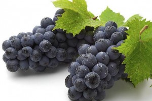 我国保健食品植物提取物将有“紧箍咒”