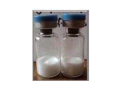 供应维生素B6  武汉厂家直销