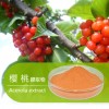 樱桃提取物价格|厂家|直销|现货