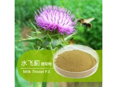 水飞蓟提取物  价格|厂家|直销|现货