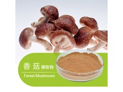 香菇提取物 价格|厂家|直销|现货