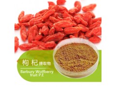 枸杞提取物 价格|厂家|直销|现货