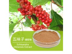 五味子提取物  价格|厂家|直销|现货