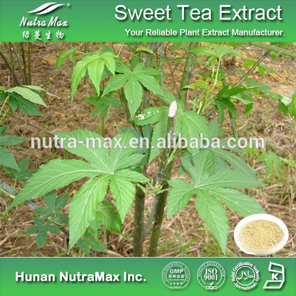 甜茶提取物（甜茶素）