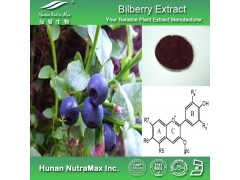 越橘提取物（花青素）