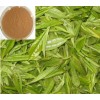 绿茶提取物（L茶氨酸，儿茶素，茶多酚）