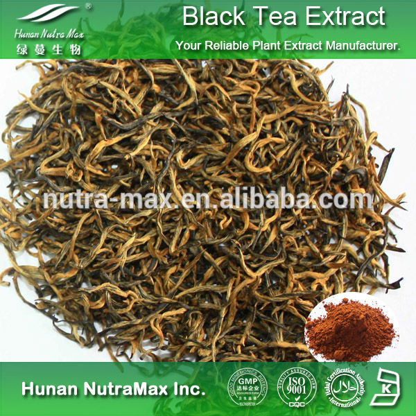 红茶提取物（茶黄素）