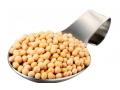 磷脂酰丝氨酸  PS20% 增进大脑记忆   磷酯酰丝氨酸