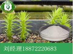 积雪草提取物厂家|价格|用途|质量