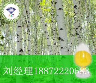 盐酸苯乙福明