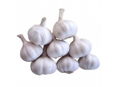 植物提取物厂家供应大蒜提取物-蒜氨酸,蒜辣素