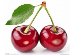 植物提取物厂家供应樱桃提取物/针叶樱桃提取物/Vc