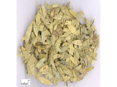 供应番泻叶提取物/番泻叶甙/10:1 5 10%