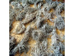 厂家供应缬草提取物0.4-0.8%缬草酸