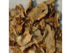 绿然生物优价供应当归提取物1%藁本内酯