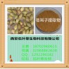 苍耳子提取物