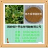 鹅不食草提取物