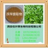 浮萍提取物